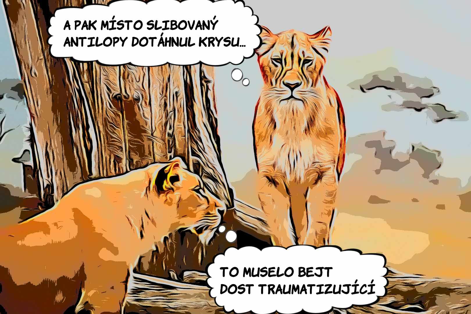 Anatomie traumatického zranění a strategie přežití